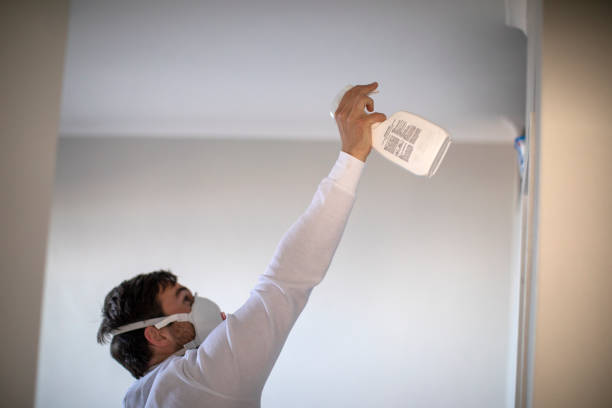 Best Commercial Mold Remediation in Gordon, NE