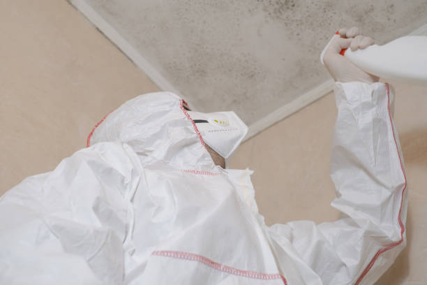 Best DIY Mold Remediation Support Services in Gordon, NE
